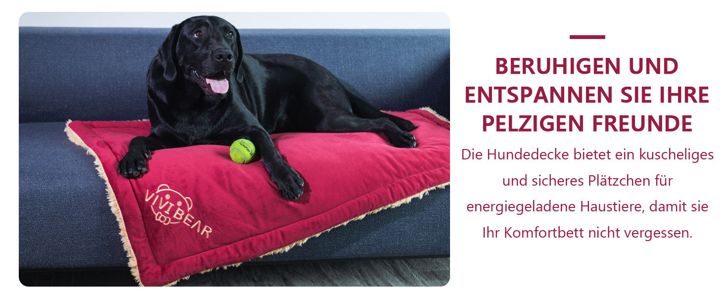 Килимок для собак, ліжко для великих собак Comfy - миючий, плюшевий, стильний, 110x70 см, блакитний