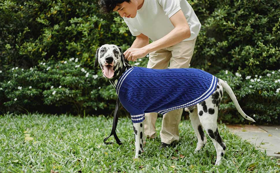 Теплий собачий светр LiebeDD з V-подібним вирізом для маленьких та середніх собак, червоний (M)