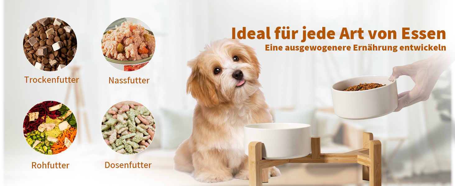 Набір мисок для собак, підняті миски, кераміка, протиковзкий стійкий, 2 шт., 850 мл, білий