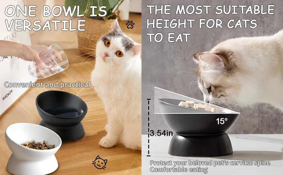 Підвищений годівниця для котів, кераміка, піднятий та нахилений годівниця, проти блювоти, без стресу, для котів та маленьких собак, 150 мл, чорний, 1 шт.