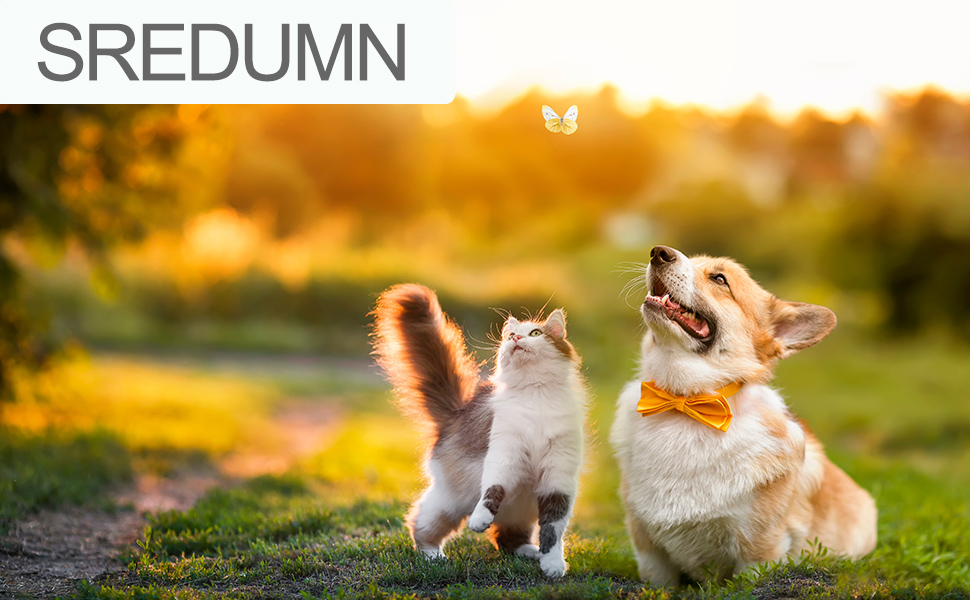 Котловий набір з кераміки для котів та кошенят (чорний), 15 x 4 см