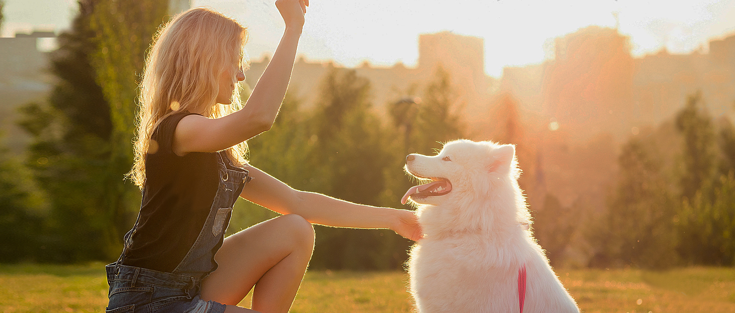 Зимовий одяг для собак Meioro: тепла куртка, жилетка, флісовий пуловер для малих та середніх собак (чорний, XL)