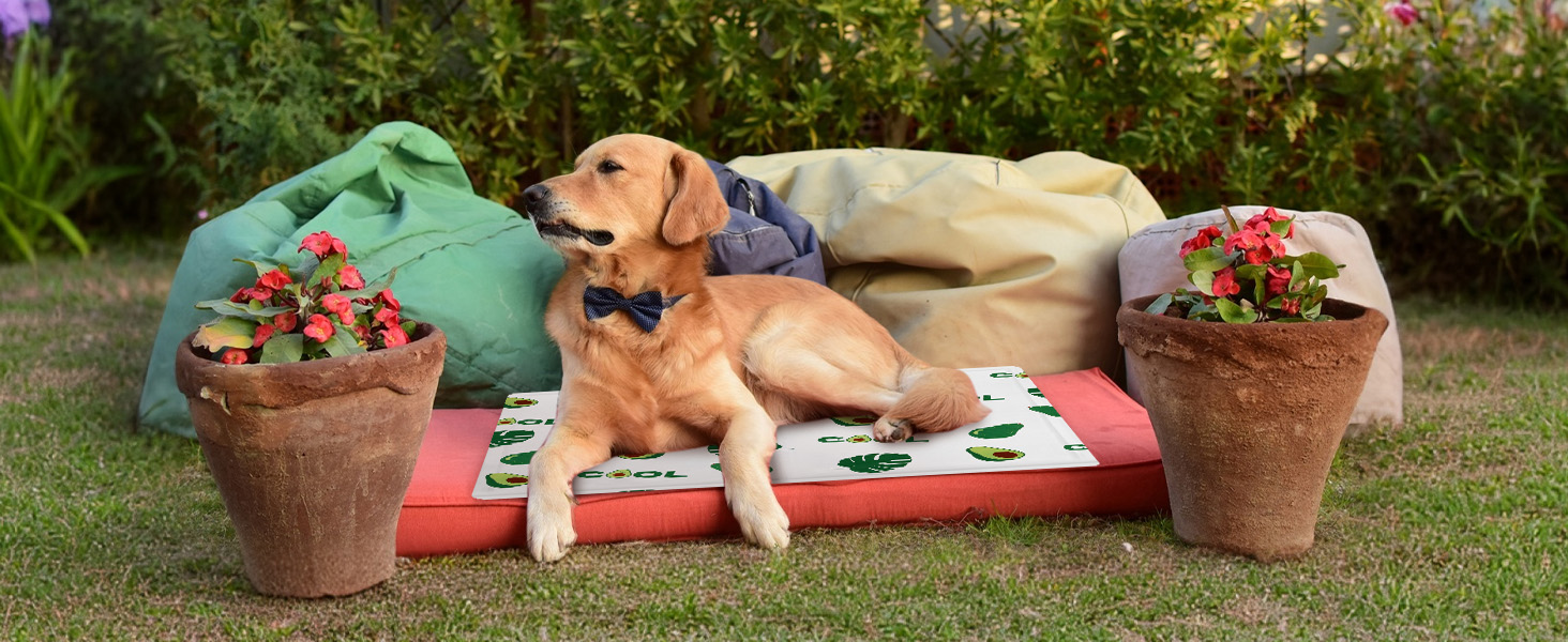 Кілим-охолоджувач для собак та котів Ninonly 50 x 65 см - самоохолоджуючий, водонепроникний, з нетоксичним гелем (Авокадо)