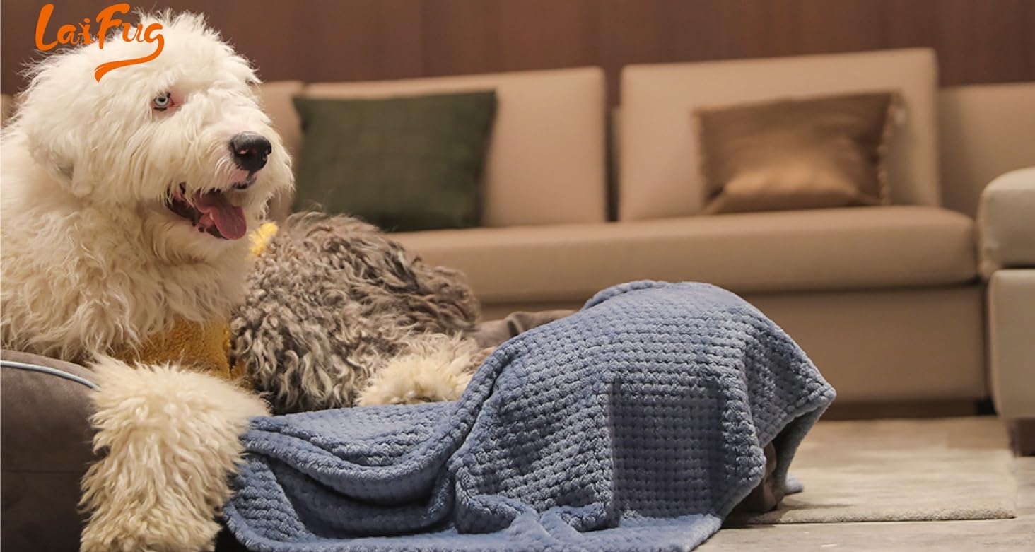 Ортопедичне ліжко для собак Laifug з ефектом пам'яті, велике, водонепроникне, сірий сланцевий колір, 127 x 92 x 23 см