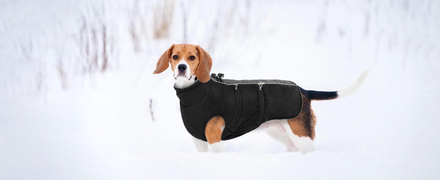 Водонепроникний зимовий одяг для собак, тепла куртка для собак з отвором для шлейки, для малих, середніх та великих собак, з відбиваючими смугами та блискавкою - чорний, XS