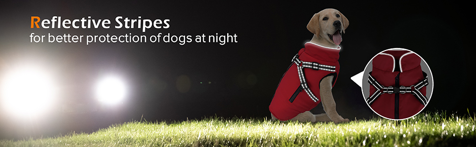 Зимова куртка для великих собак, водонепроникний дощовик з шлейкою та блискавкою, зелений, XL для Golden Retriever, Labrador, Німецької вівчарки XL зелений