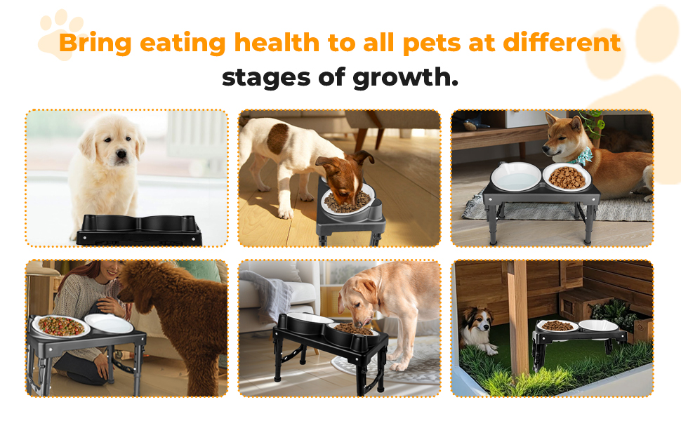 Підвищена годівниця для собак, анти-заковтування, регульована висота, для великих та середніх собак