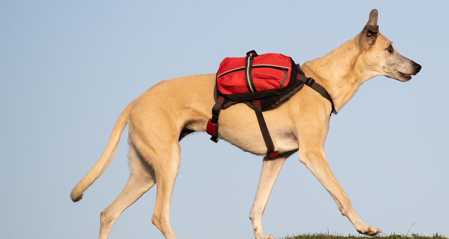 iEnergy™ BUR килимок для собак, лежанка для собак 110x80 см, універсальний розмір, для подорожей та відпочинку