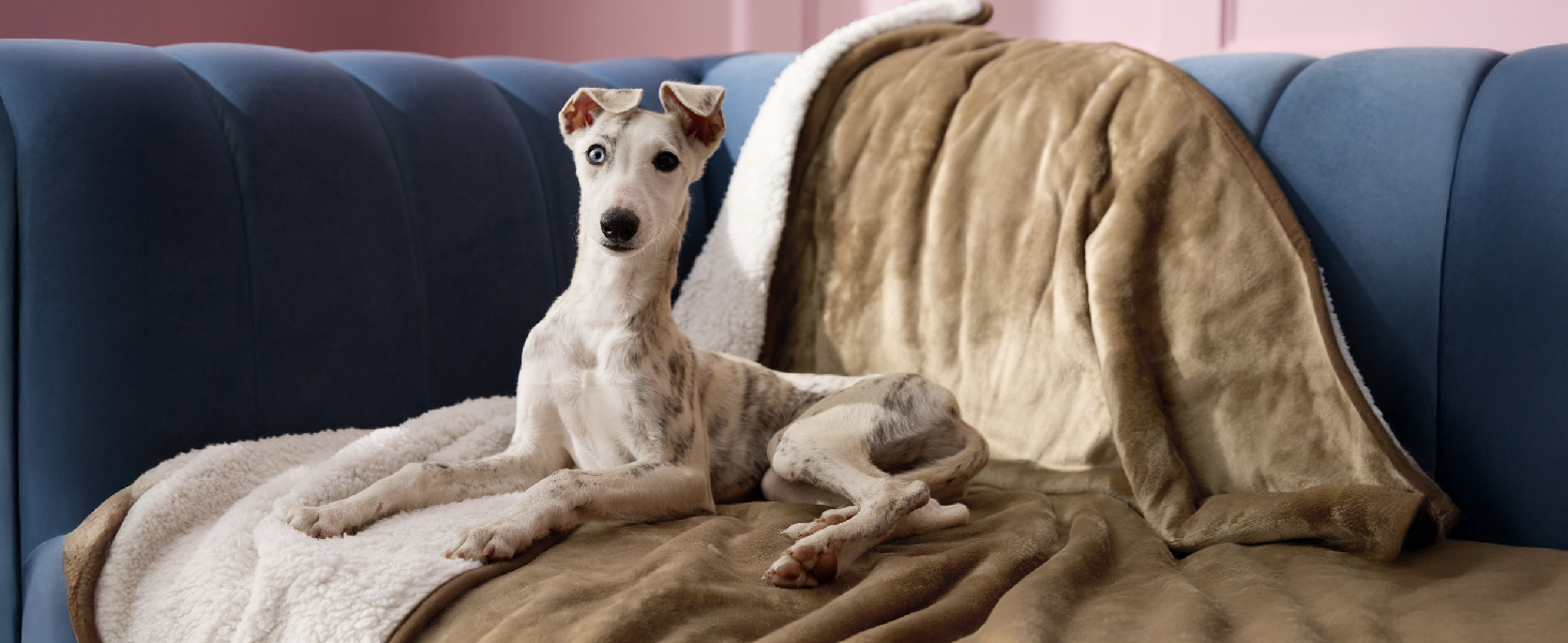 Водонепроникний коврик для собак середнього розміру 80x100 см, миючий, м'який, кремовий колір