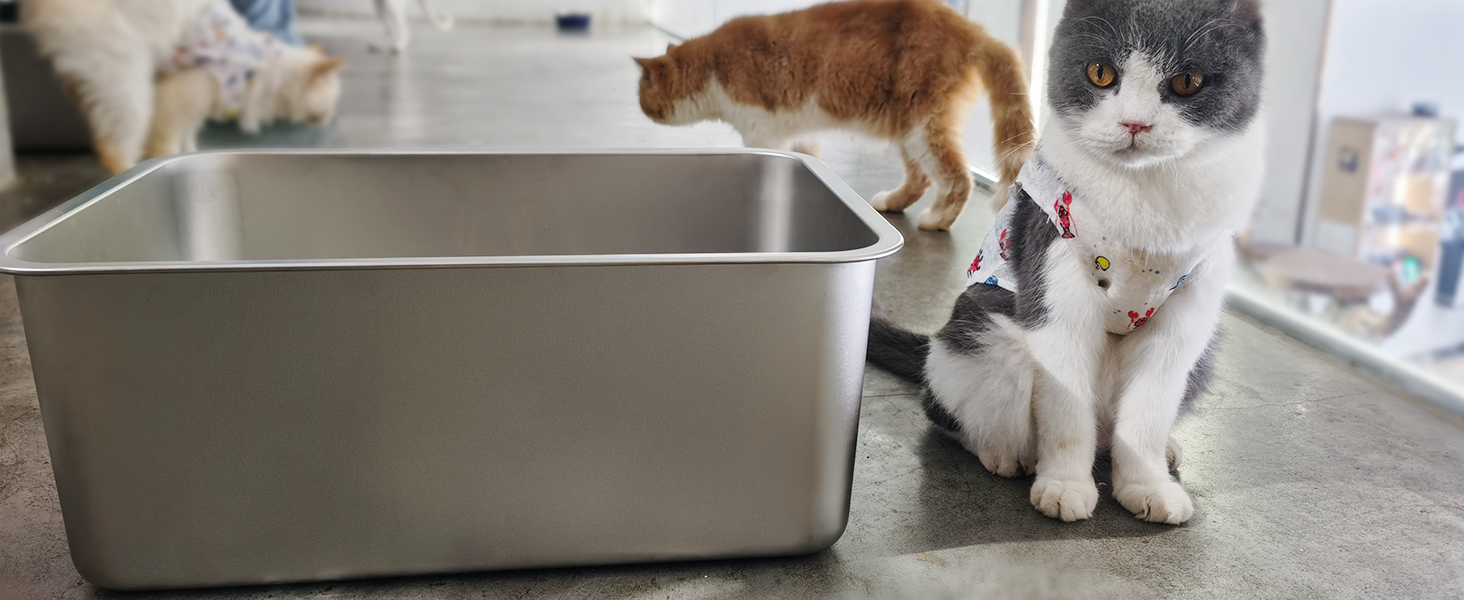 IKITCHEN Великий лоток для котів з нержавіючої сталі (50x35x20 см), туалет для котів та кроликів, без запаху, без плям, антикорозійний, з гладкою поверхнею, з антиковзким гумовим дном, срібний