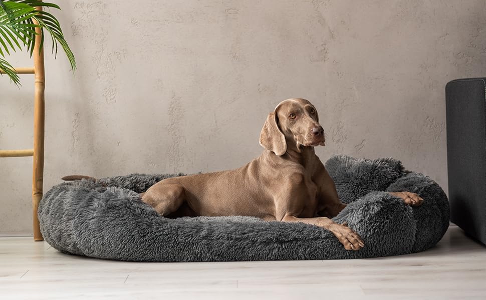 Ортопедичне ліжко для собак Tierlando® Pamela з м'якого штучного хутра Shaggy, знімним матрацом та пральним покриттям, надзвичайно м'яке, розмір 175x115 см, колір: бежевий