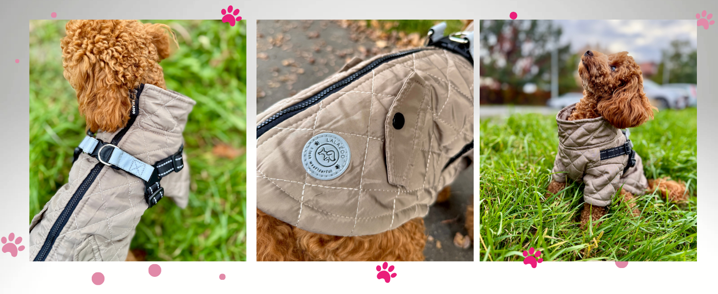 Теплий водонепроникний зимовий пуховик для собак Lalzoo LUVI 2-в-1 з інтегрованим нашийником – для маленьких та середніх собак, світлодіодна куртка, бежевий, розмір S