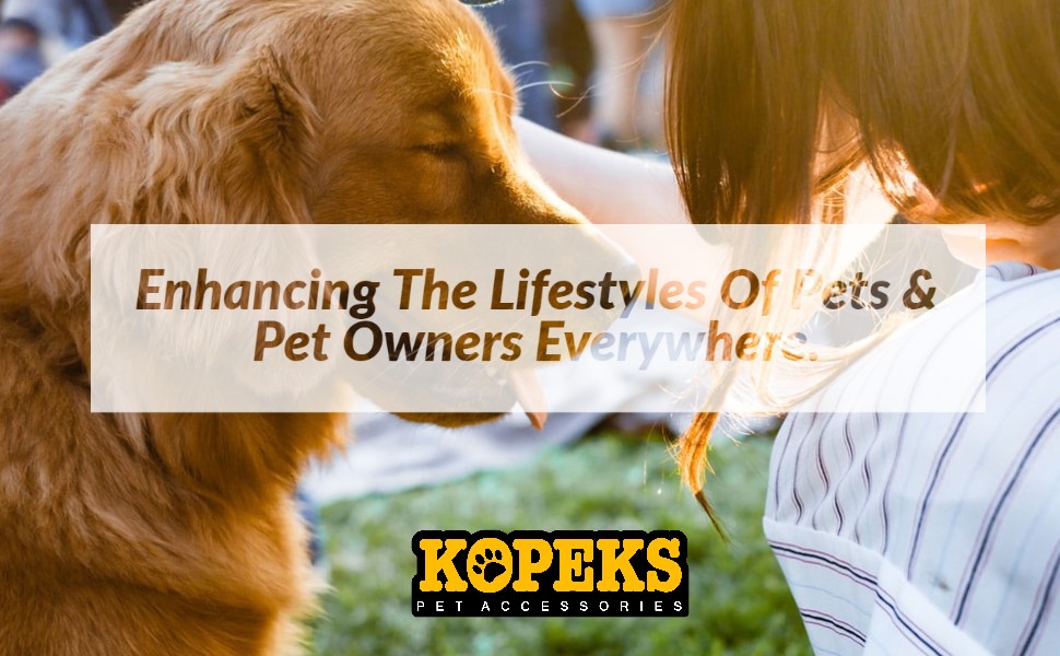 Чорний дорожній рюкзак для тварин Kopeks Deluxe, великий, 52 x 32 x 45 см