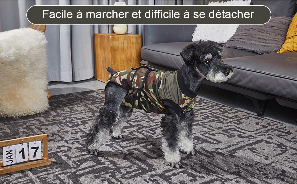 Тіло для собак після операції, захисний одяг для собак після кастрації/стерилізації, дихаючий, анти-витік ран, зелений, L