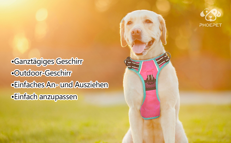 Шлейка безпеки для собак середніх та великих порід PHOEPET з м'якою ручкою та світловідбиваючими елементами, рожева (S)