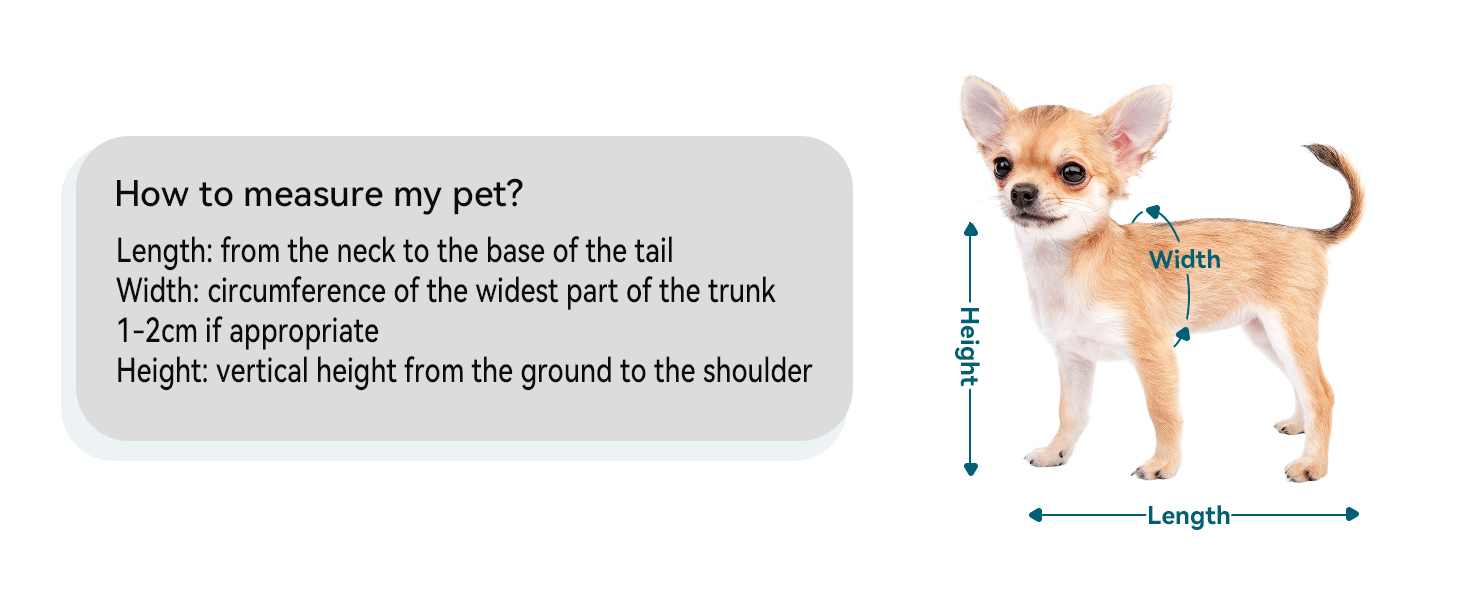 Рюкзак для котів та собак Petsfit - зелений, до 5 кг, з сіткою та регульованим ременем