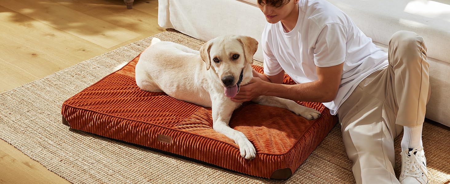 Ортопедичне ліжко для собак FUKUMARU - 91x56x9 см, зелене, з водонепроникним шаром, м'яке, антиковзне. Ліжко для собак, килимок, матрац