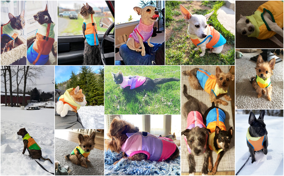 Зимовий теплий водонепроникний одяг для собак Idepet: куртка, пуловер, костюм для снігу. Розміри XS, S, M, L, M Rose