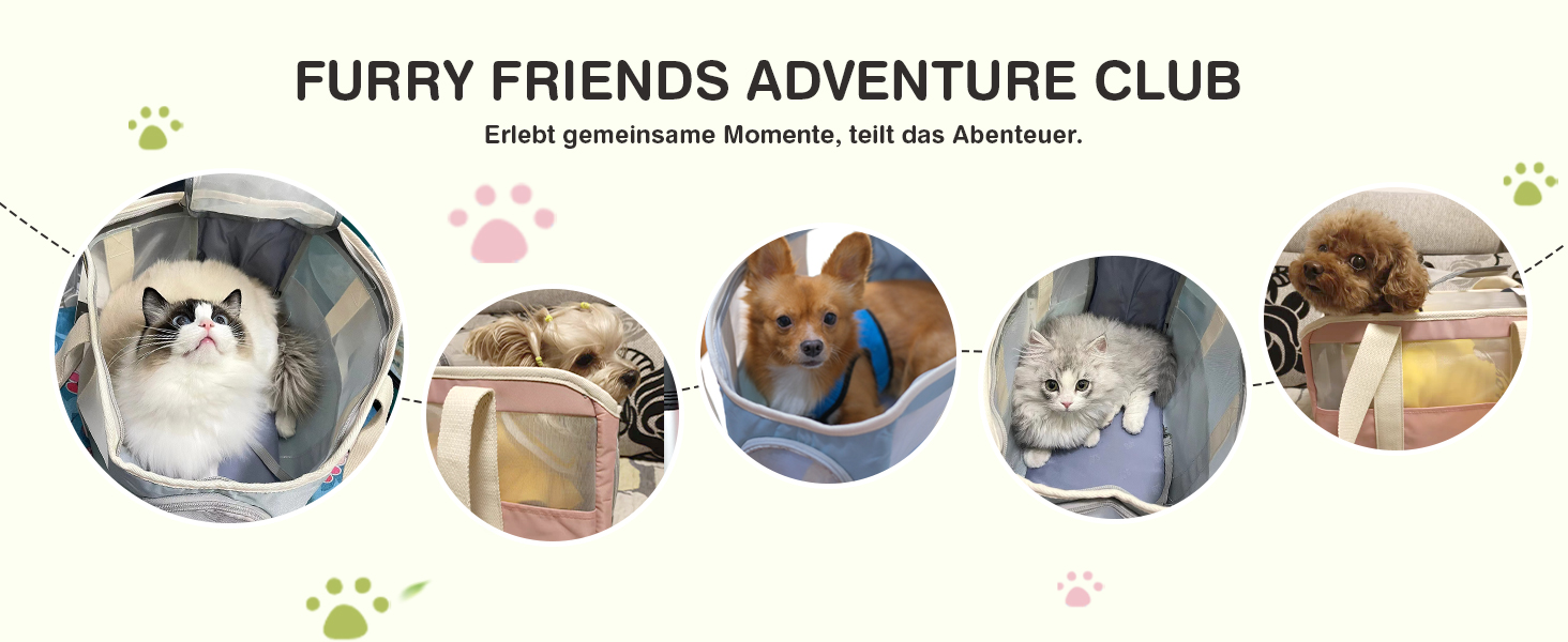 М'яка переноска для собак та котів ALLSOPETS, складана, дихаюча, з поводком, легка, для подорожей, до ветеринара, на вулицю (небесно-блакитний)