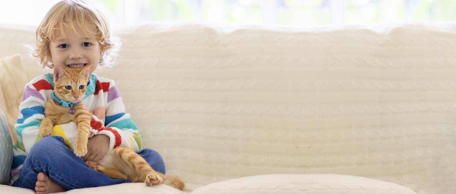 Автоматичний дозатор корму для котів Auveach з 2 охолоджувальними акумуляторами, програмованим таймером та бездрожним живленням (ABS-піддон)