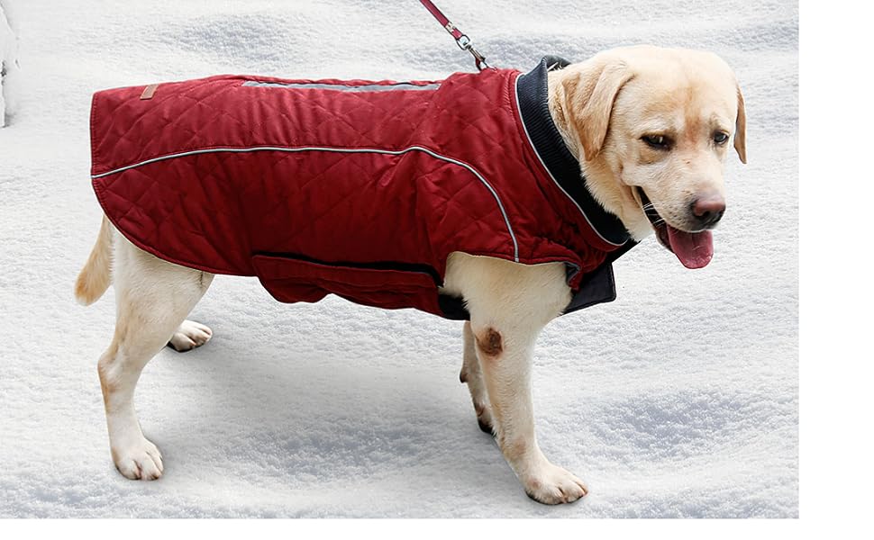 Зимовий теплий одяг для собак - куртка, жилетка, 7 розмірів для маленьких, середніх, великих та гігантських собак, вітронепроникний костюм, одяг для домашніх тварин (M, ЗЕЛЕНИЙ)