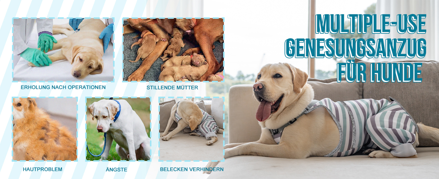 Комбінезон для собак після операції, дихаючий, для задніх лап, синій, XS (довжина спини 27-32 см, довжина лап 15 см)