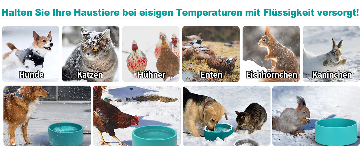 Нагрівальний миска для собак Vankarr 3.2L з термостатом. Захист від укусу кабелю 200см. Підходить для собак, котів, курей та кроликів.