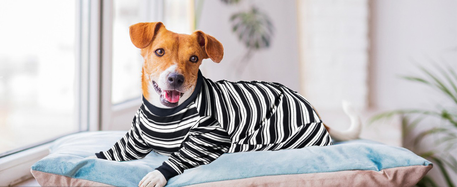 Захисний одяг для собак після операції: повний костюм для собак, що відновлюються (дівчатка, хлопчики), чорний