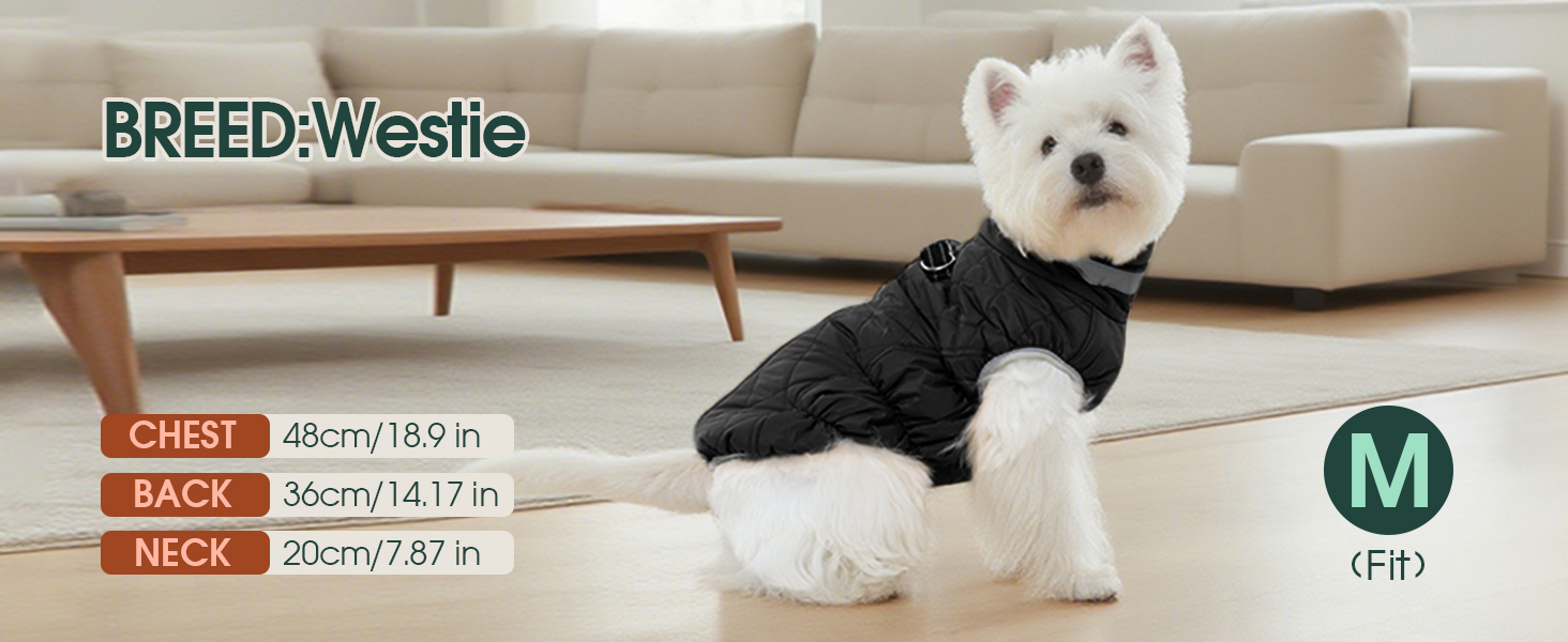 Водонепроникна куртка для собак великих порід Kuoser, тепла зимова жилетка для собак, чорна, XL