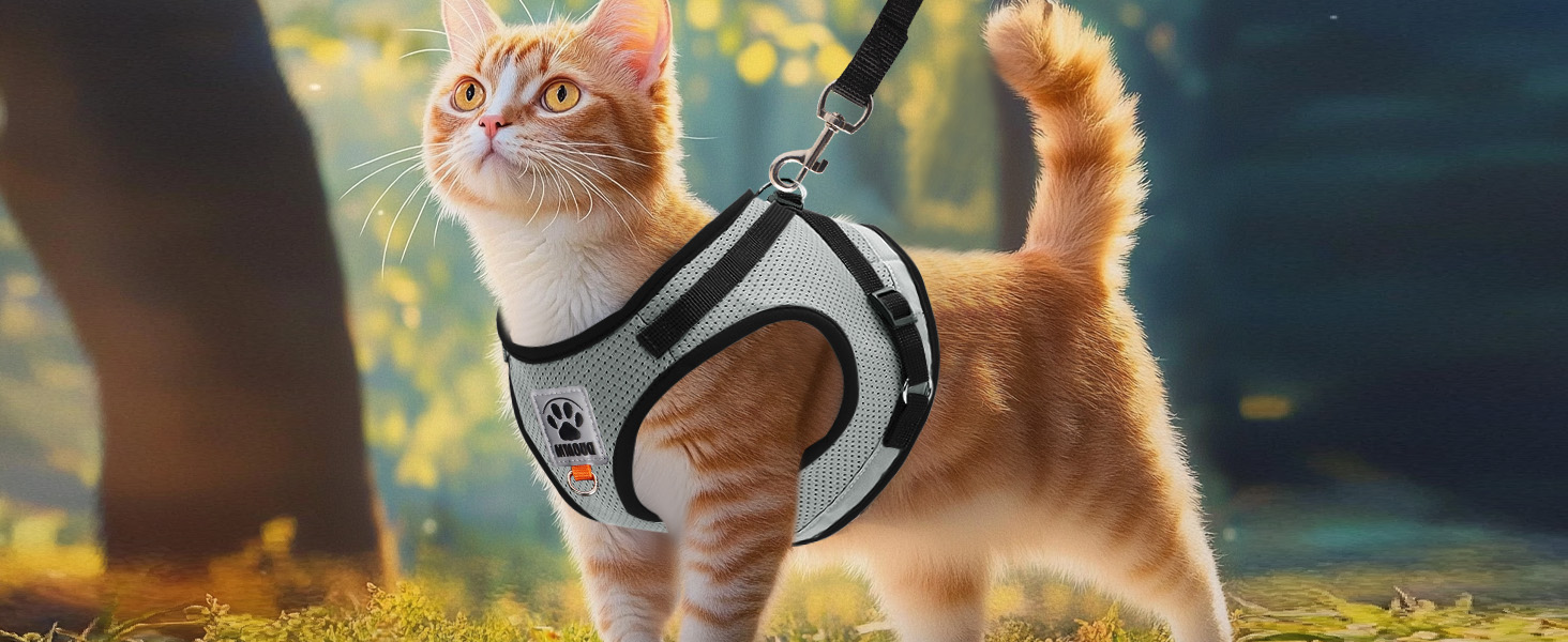 Нашийник для котів Bindokun з повідком, анти-вислизання, комплект, розмір M, сірий