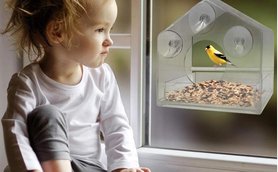 Годівниця для птахів AMSAMOTION на вікно з присосками, годівник для диких птахів, акрил