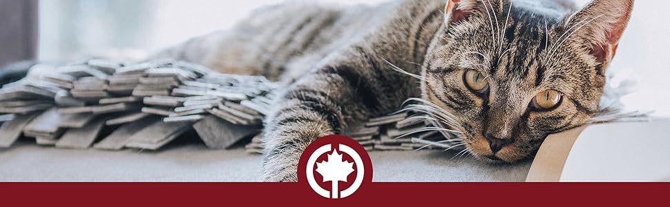 Крісло-лежанка для собак Wallace & Jones Sarnia - M, м'яке, темно-сіре, 80 x 80 x 24 см