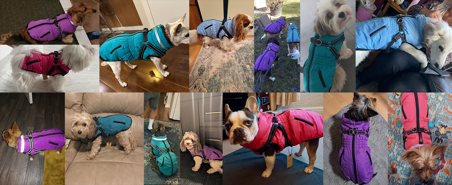 Теплий зимовий одяг для собак та котів - куртка, водонепроникний, зелений (XXL, червоний)