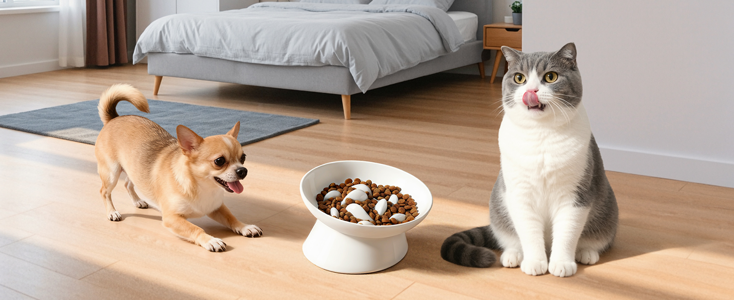 Керамічна миска для котів з підняттям, протиковзаюча, для повільного годування, біла