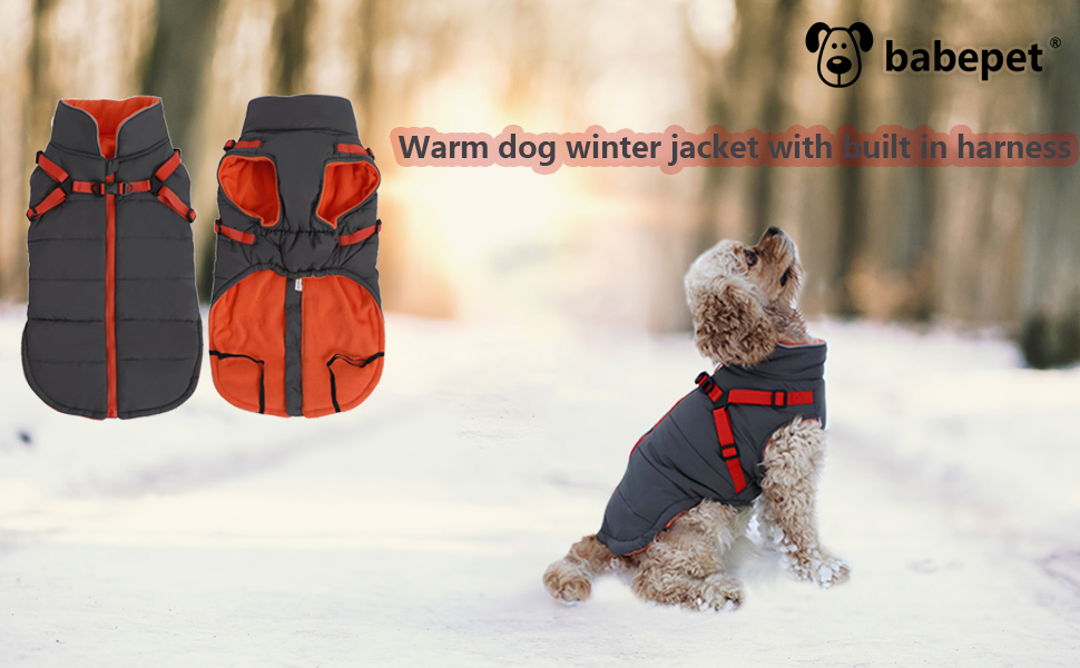 Зимова куртка для собак, жилет, водонепроникна, світловідбиваюча, з флісовою підкладкою, костюм для маленьких собак на вулицю з персоналізованою нашивкою, помаранчевий колір, XL (довжина спини 44 см), XL (персоналізований)