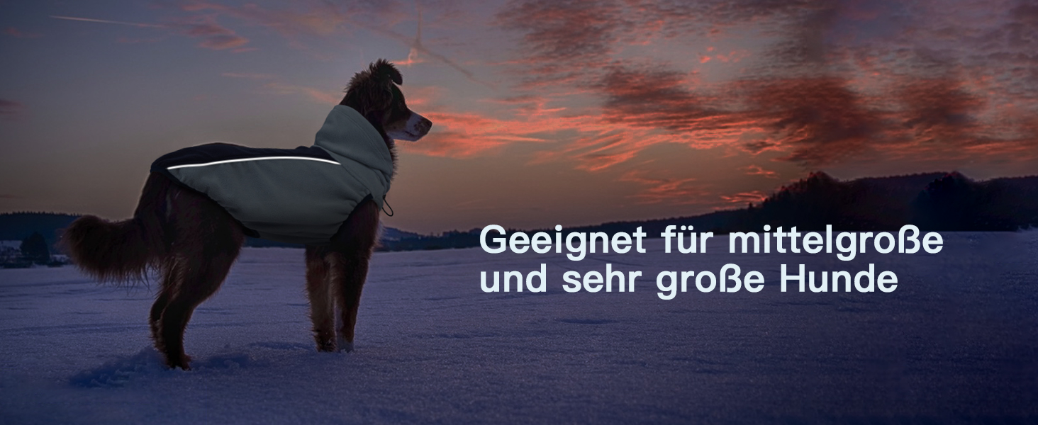 Теплий зимовий пуховик для собак Katzinst - теплий пуховик для собак з захистом живота, флісовий, для великих собак, зелений (2XL)