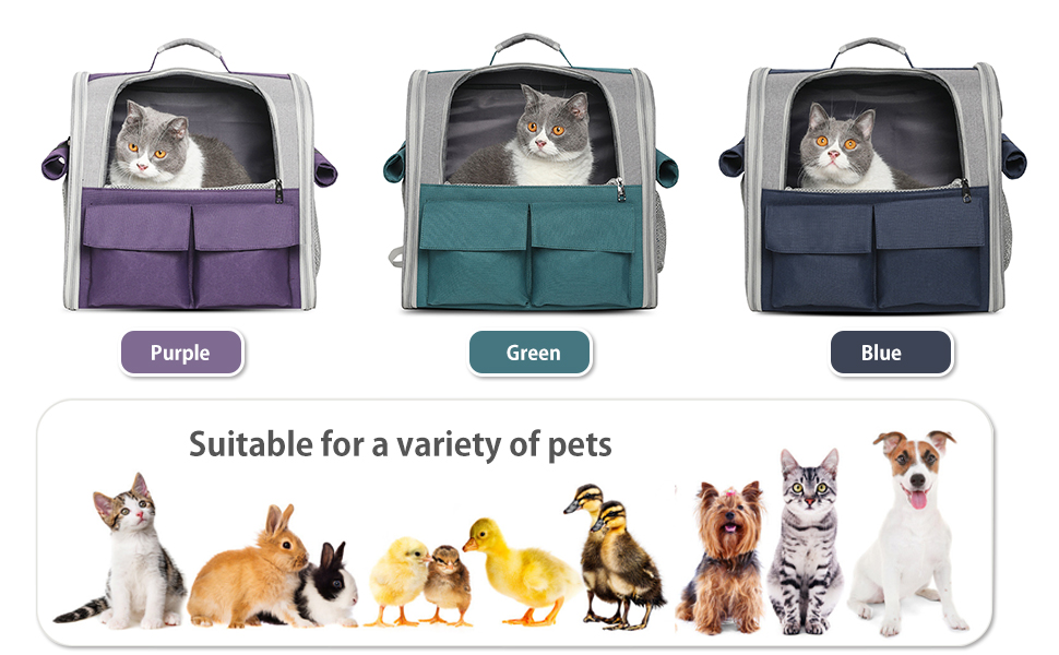 Рюкзак для тварин PETCUTE: переноска для собак та котів, знімний килимок, безпечний ремінь, зелений