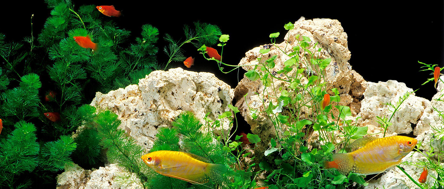 Акваріумний фільтр Fishkeeper 1000 л/год, 16W, для акваріумів 120-300 л, 4-в-1 (фільтр, аератор, помпа, губка)