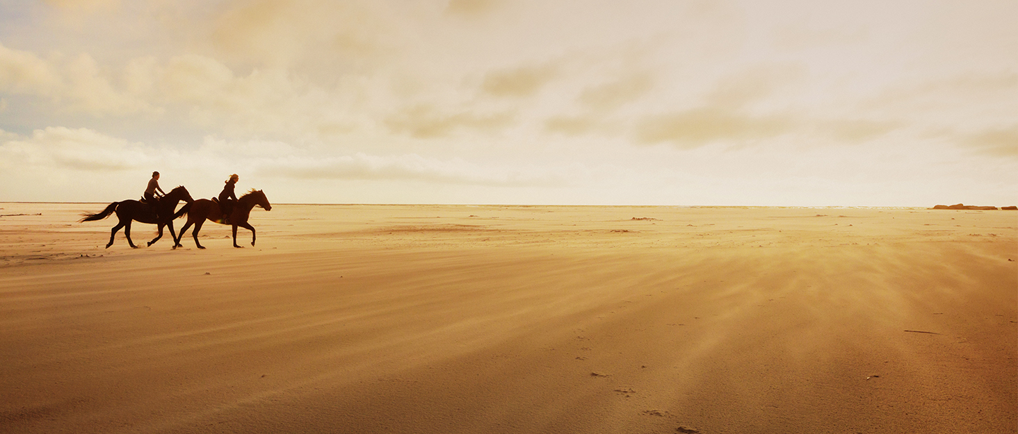 Житченгбосі: Унавожувач для коней з PU шкіри, чорний, для тренувань, стрибків та перегонів