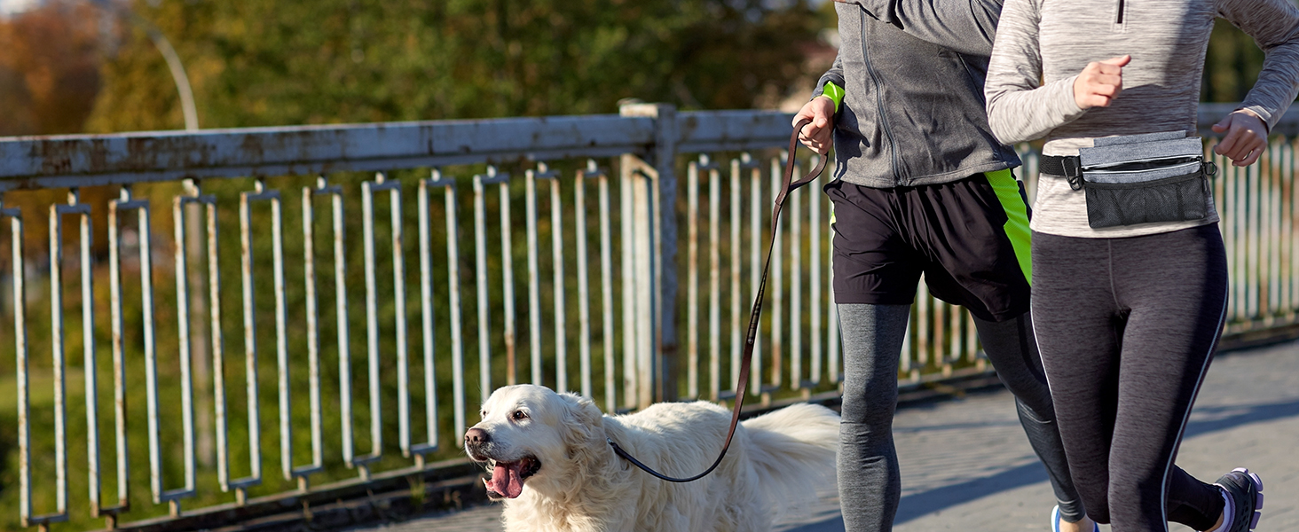 Сумка для ласощів для собак Brifit з магнітною застібкою, для тренувань, з регульованим поясом, знімною внутрішньою кишенею та дозатором для відходів, 22 x 19 x 3 см