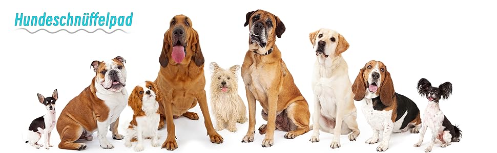 Килимок для собак SchnüFfelteppich, миючий, для тренувань, годівлі, нюховий тренінг, проти нудьги, для цуценят (66 x 42 см), блакитний