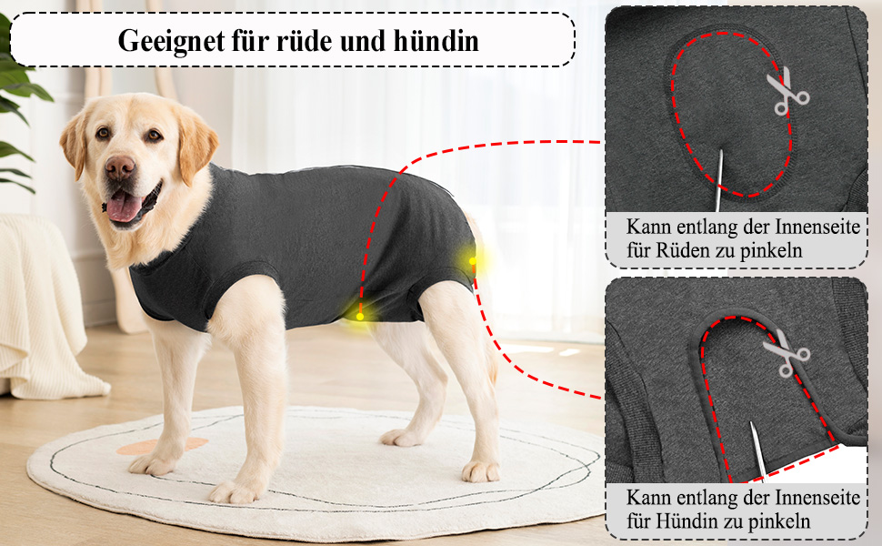 Післяопераційний боді для собак Cyponpy: захист від лизання та ран (L, сірий)