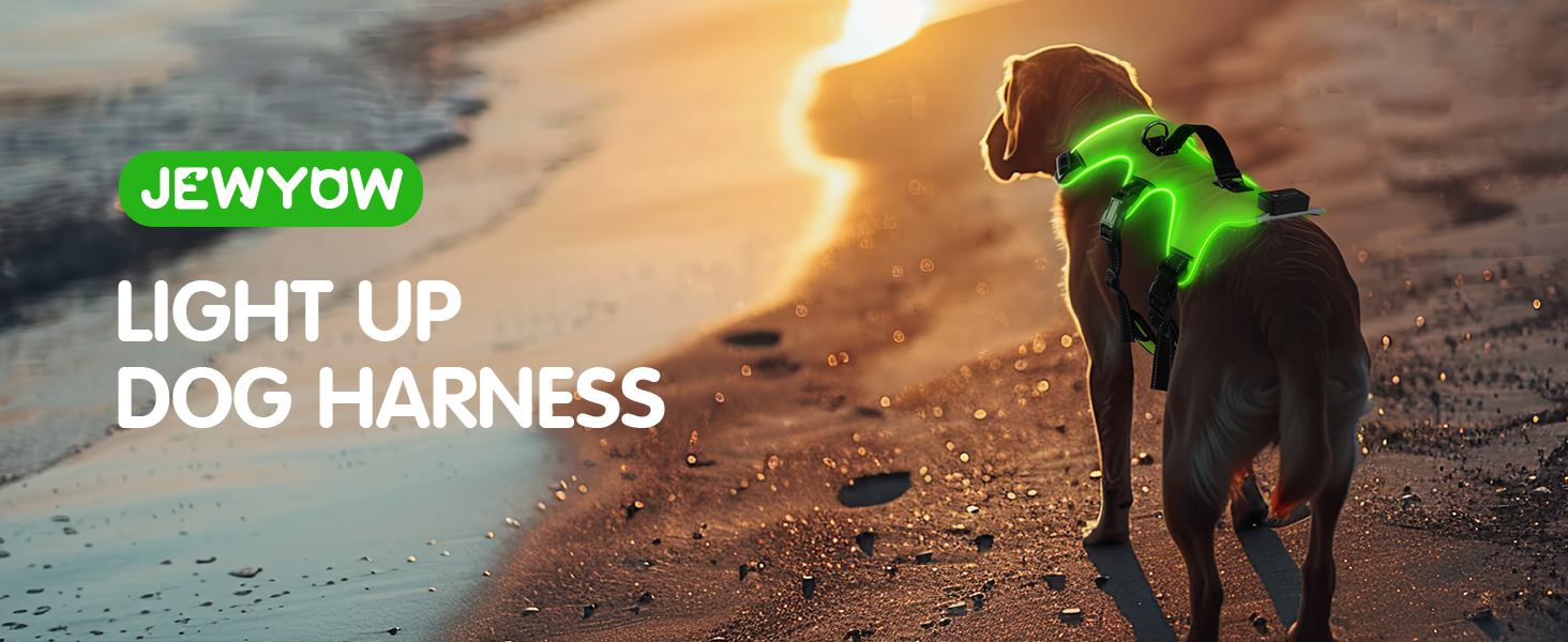 Світловідбиваючий нашийник для собак з LED, перезаряджуваний, м'який, водонепроникний, 3 режими, зелений, розмір M