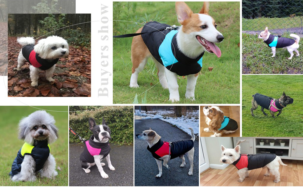 Теплий зимовий одяг для собак Idepet: куртка-мантія, водонепроникна, для маленьких, середніх та великих собак, котів (M, Рожевий)