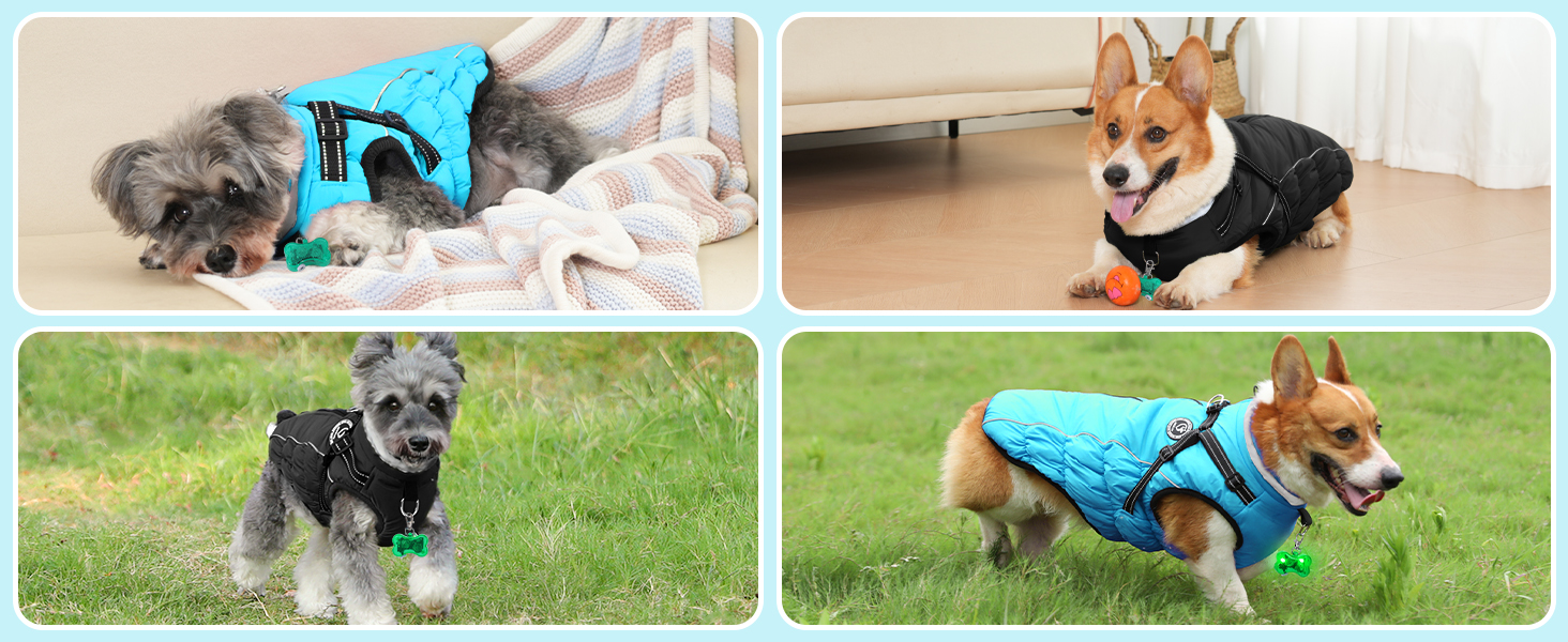 Зимовий одяг для собак HezzLuv: теплий водонепроникний одяг з LED-краваткою та світловідбиваючими смугами, розмір M, блакитний