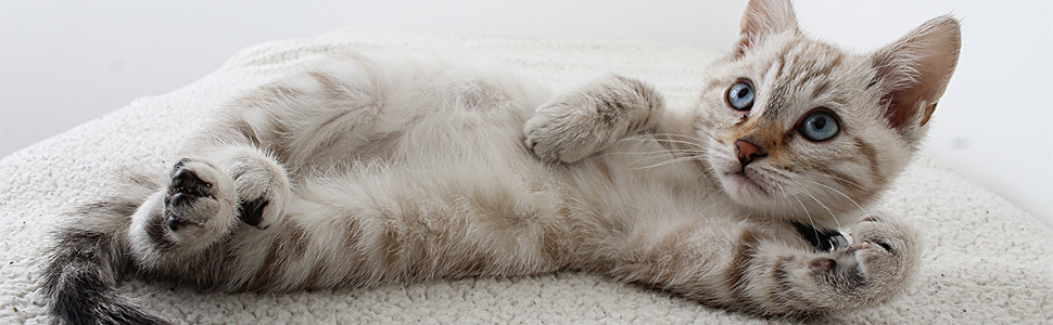 М'яке ліжко для собак та котів, 50 см, сірий колір, з антиковзною основою, легко миється