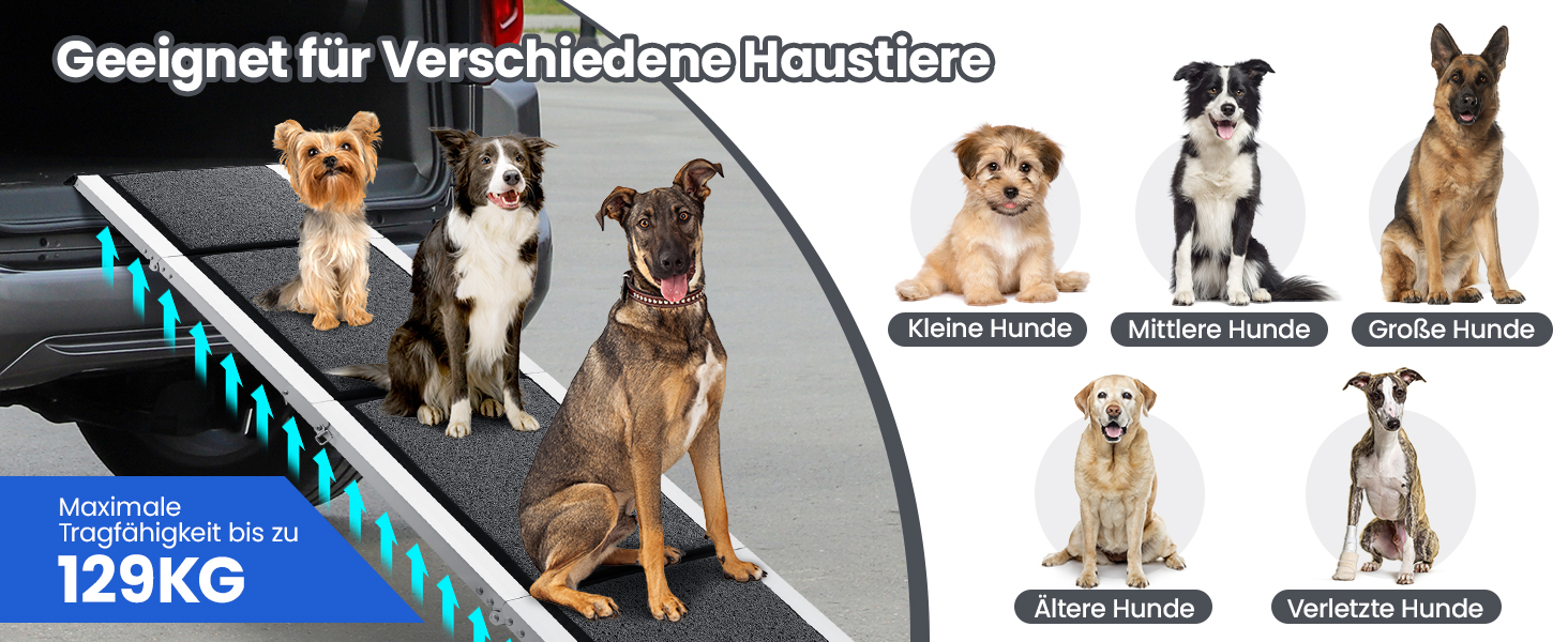 Східці для собак DAISTERN, розкладні, 170 x 44 см, з м'яким килимом, металевий каркас, для собак маленьких, середніх та великих порід