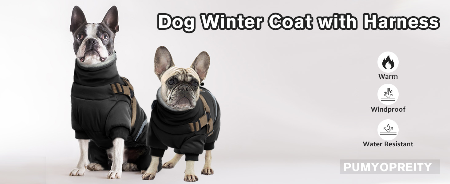 Зимовий теплий одяг для собак S, куртка для маленьких собак, теплий костюм для чихуахуа та бульдога (чорний, S)