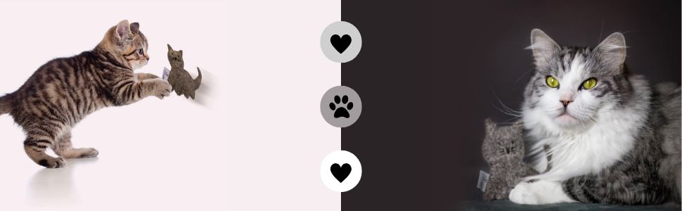 Підстилка на підвіконня для котів CATLABS з вовни (65x20 см) - 100% натуральна шерсть/фетр, без поліестеру. М'яка підстилка-лежанка для кота, тепла ковдра з вовни, місце для відпочинку на підвіконні.