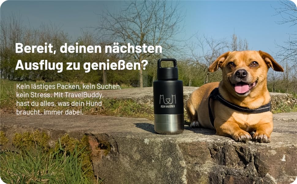 TravelBuddy 3-в-1: Поїлка для собак з мискою - витоків не буде | Для подорожей та прогулянок